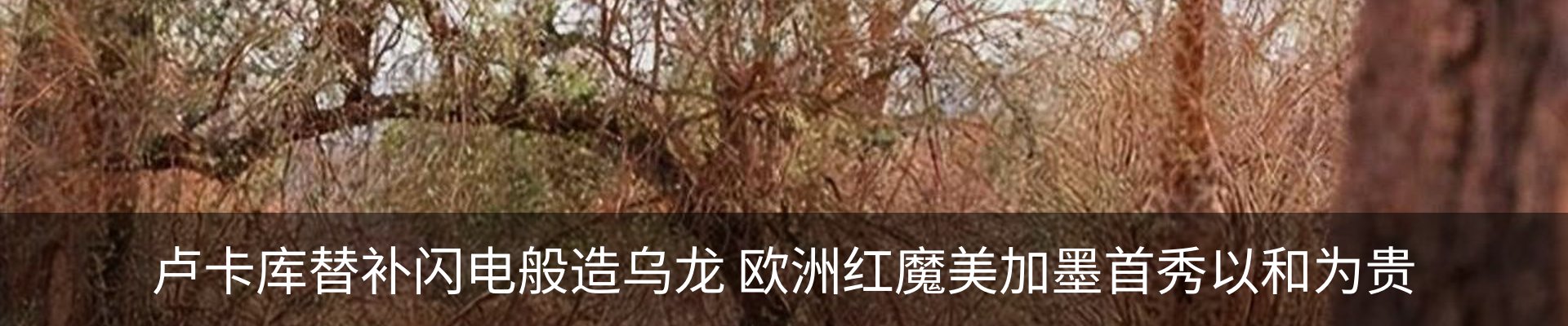 资讯动态